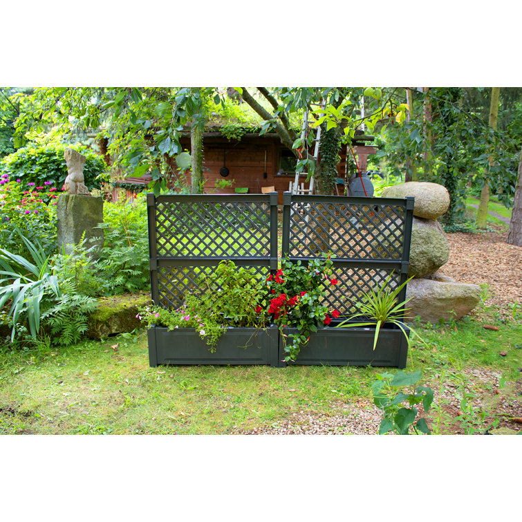 KHW 2 Piece Plastic Planter Box with Trellis Wayfair.co.uk